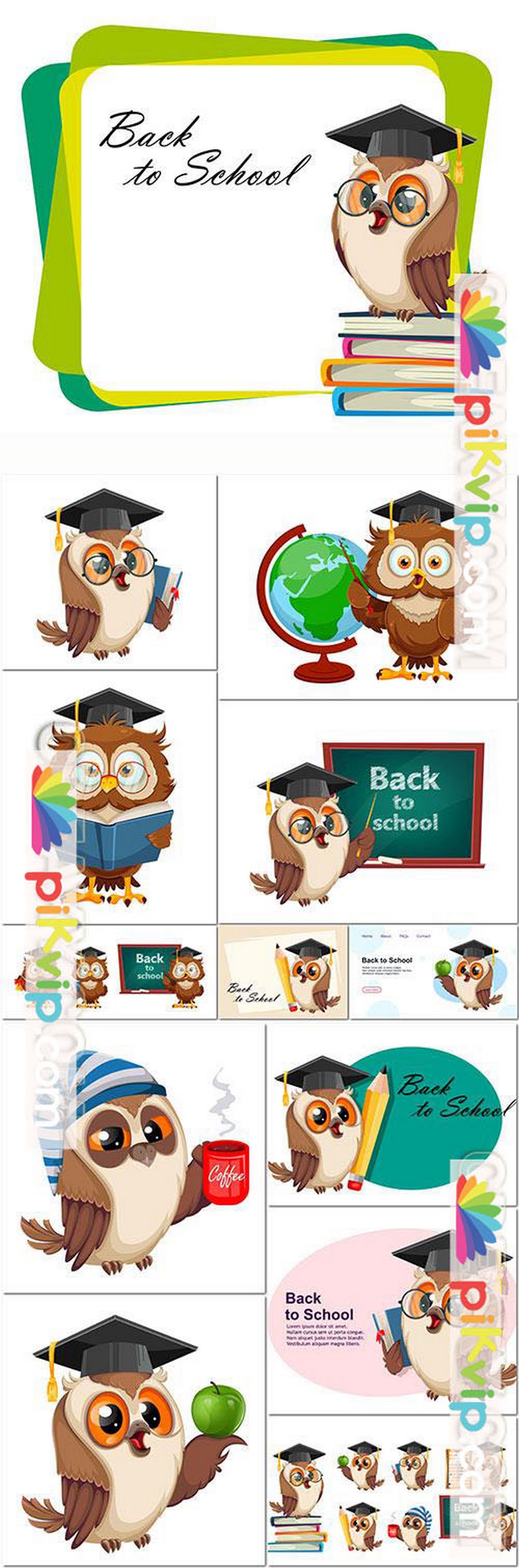 Cute wise owl set of three poses funny owl cartoon character back to school