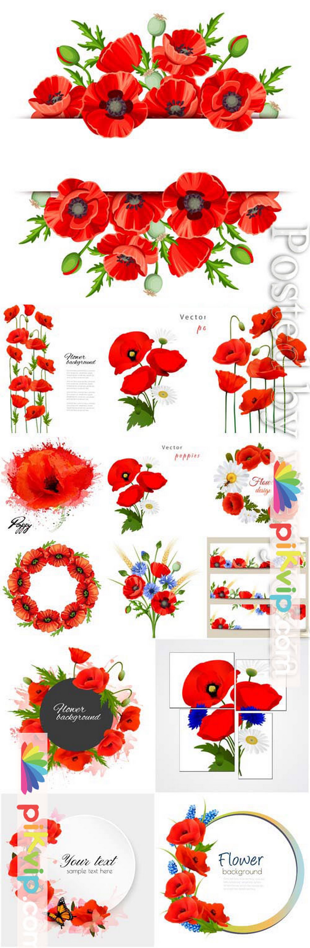 Frames with red poppies in vector